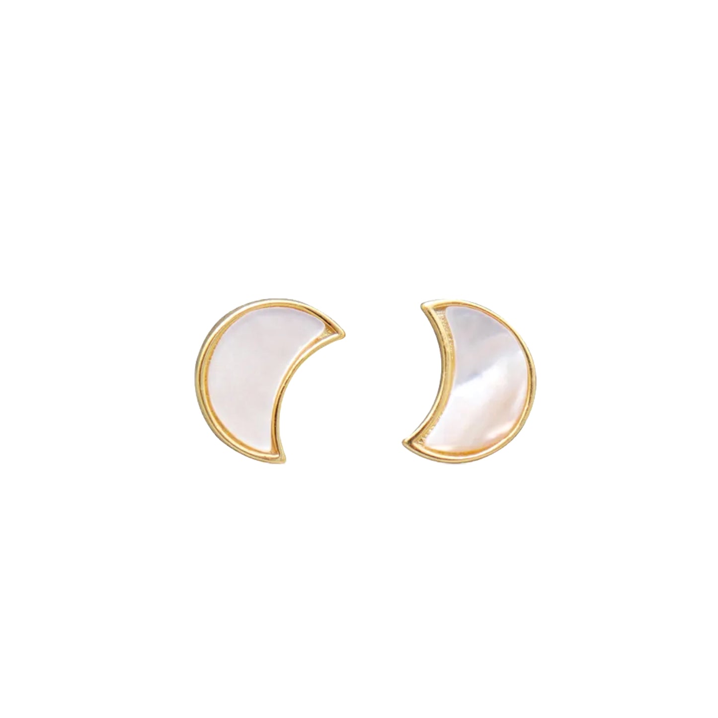 Crescent Shell Stud Earrings